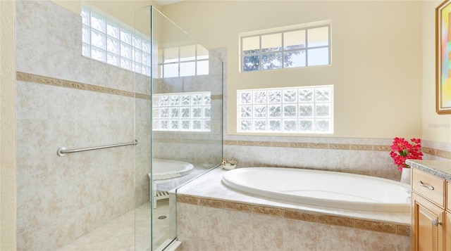 7081 Grassland Ct, Sarasota, FL 34241 - bathroom featuring healthy amount of natural light, a garden tub, walk in shower, and vanity
