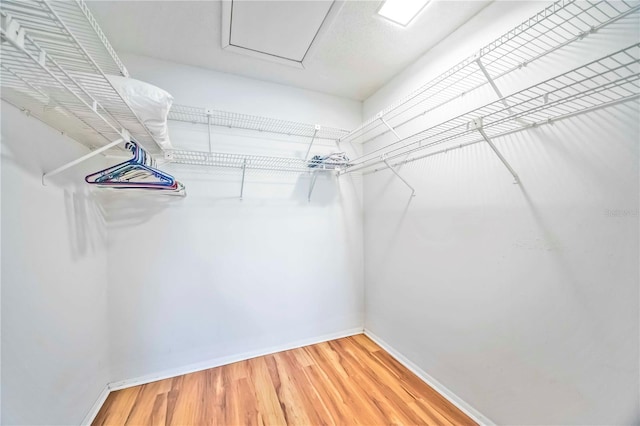 7926 Woodpointe Ct Unit 29, Sarasota, FL 34238 - walk in closet with light wood-type flooring