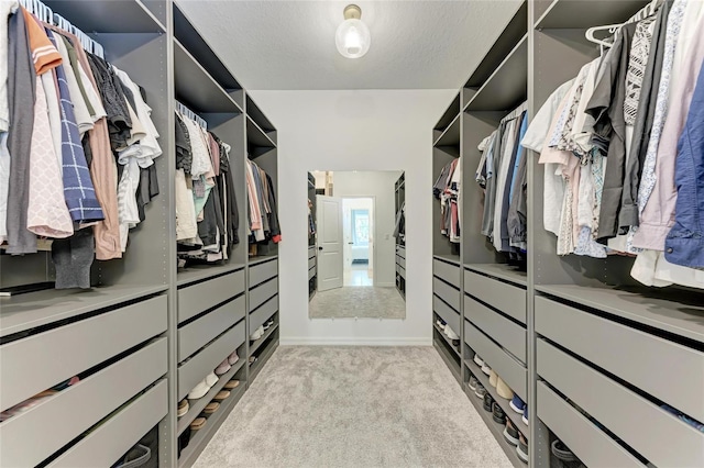 3129 61st Ter E, Ellenton, FL 34222 - spacious closet featuring light carpet