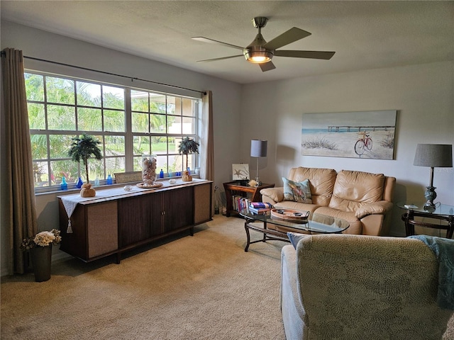 3110 57th Avenue Cir E, Bradenton, FL 34203 - photo 8