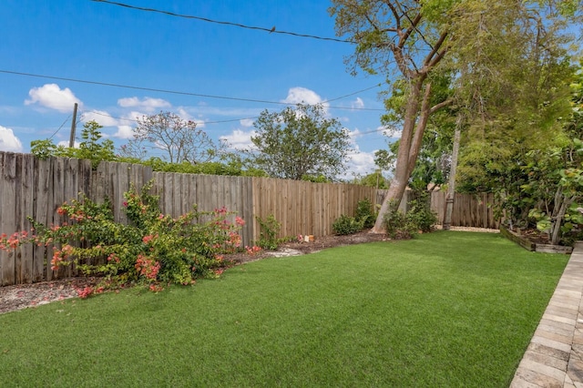 715 Fontana Ln, Bradenton, FL 34209 - view of yard