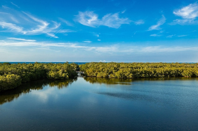 715 Fontana Ln, Bradenton, FL 34209 - water view with a heavily wooded area
