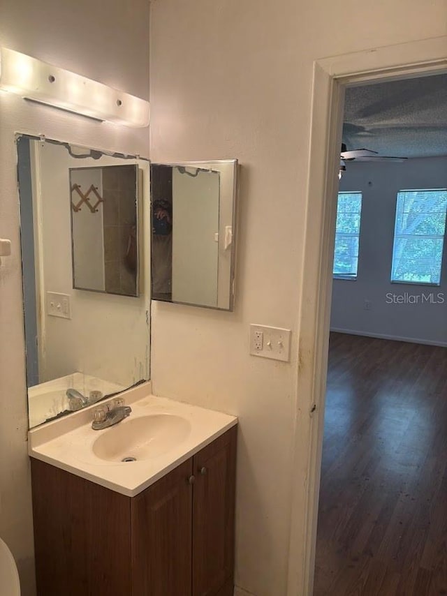10800 N US Highway 19 Unit 237, Pinellas Park, FL 33782 - bathroom featuring vanity, wood finished floors, and ceiling fan