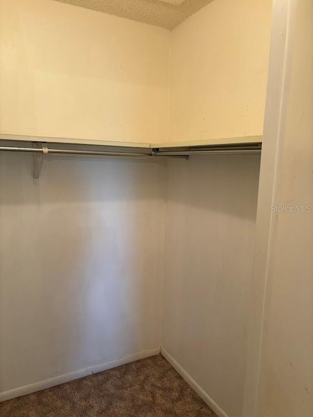 10800 N US Highway 19 Unit 237, Pinellas Park, FL 33782 - spacious closet featuring dark colored carpet
