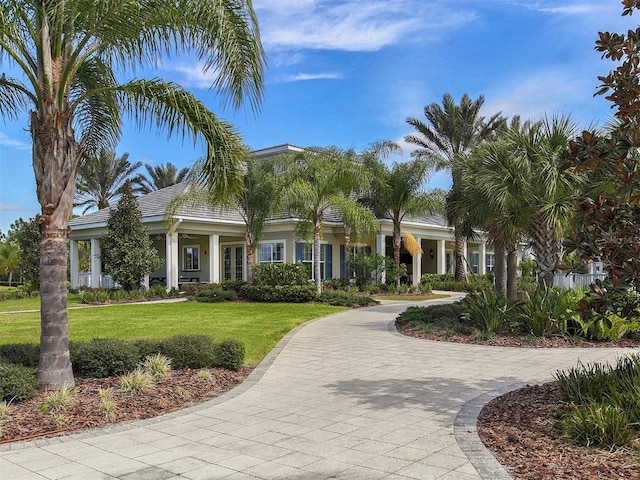 12682 Shimmering Oak Cir, Venice, FL 34293 - view of front of property with a front lawn, curved driveway, a tiled roof, and stucco siding