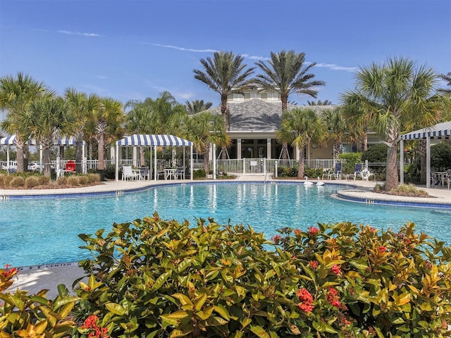 12682 Shimmering Oak Cir, Venice, FL 34293 - view of community pool