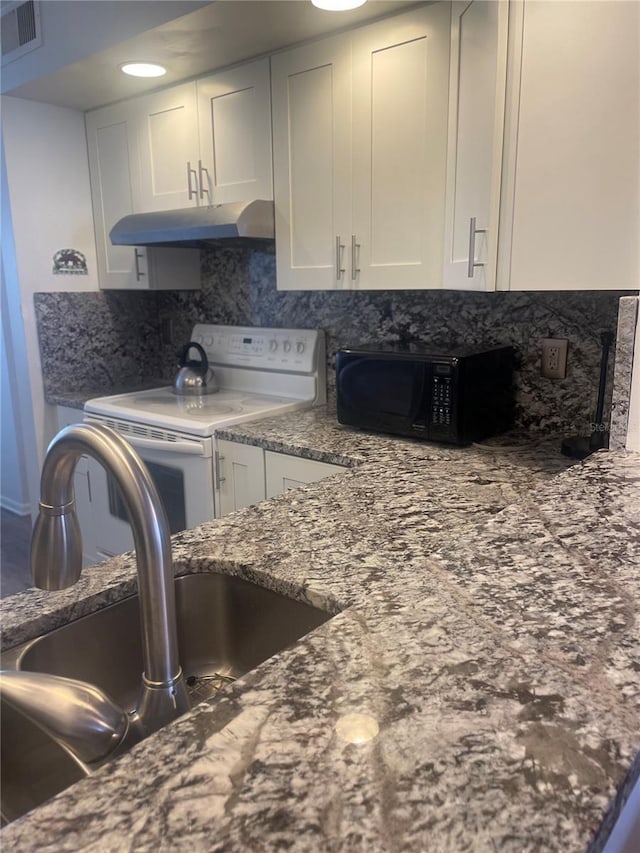 4520 47th Ave W Unit 103, Bradenton, FL 34210 - kitchen featuring black microwave, electric range, a sink, under cabinet range hood, and white cabinetry