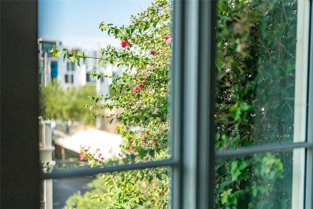 525 N Orange Ave Unit 302, Sarasota, FL 34236 - view of entryway