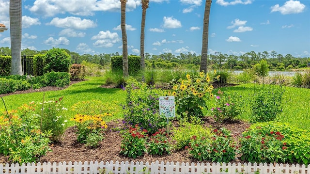11625 Parrotfish St, Venice, FL 34292 - view of yard
