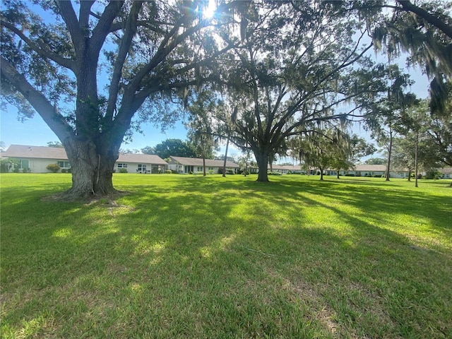 3752 Collins St Unit 508, Sarasota, FL 34232 - view of green lawn