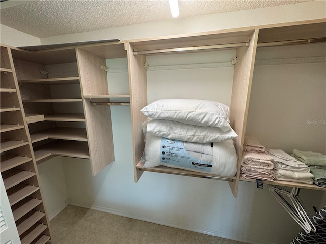 3752 Collins St Unit 508, Sarasota, FL 34232 - spacious closet with carpet