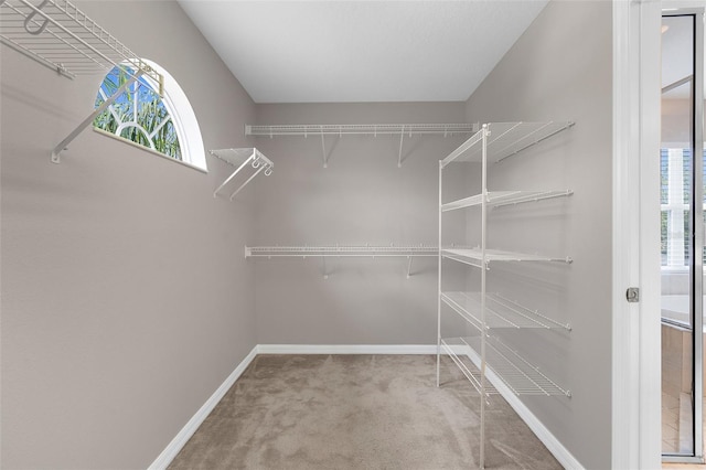 5981 Willows Bridge Loop, Ellenton, FL 34222 - walk in closet featuring carpet