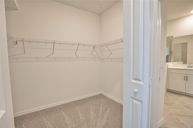 17715 Boracay Ct Unit 202, Venice, FL 34293 - walk in closet featuring a sink and light carpet