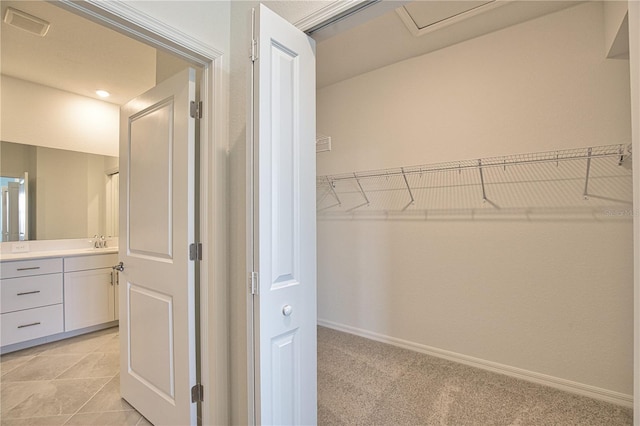 17715 Boracay Ct Unit 202, Venice, FL 34293 - spacious closet featuring a sink and light carpet