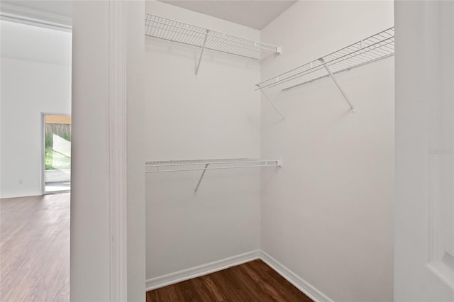 294 Lake Doe Blvd, Apopka, FL 32703 - walk in closet featuring dark wood-type flooring