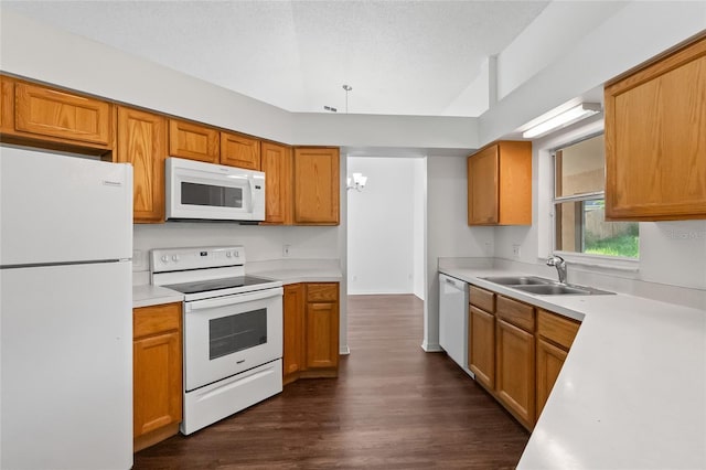 294 Lake Doe Blvd, Apopka, FL 32703 - kitchen featuring white appliances, light countertops, dark wood-style floors, and brown cabinets