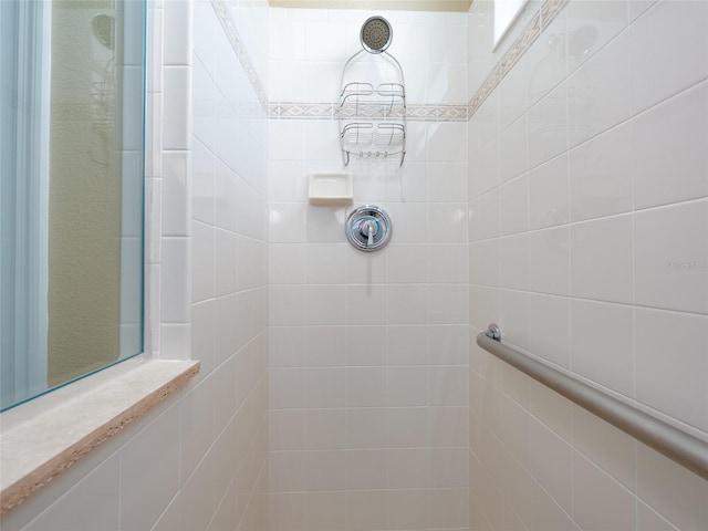8078 Stirling Falls Cir, Sarasota, FL 34243 - bathroom with tiled shower