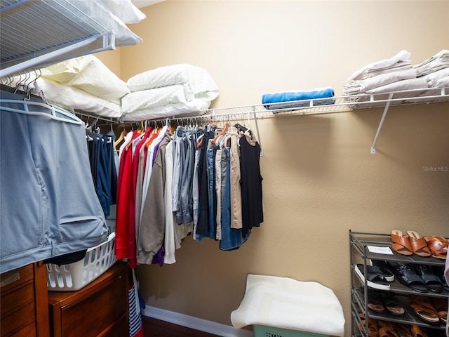 8078 Stirling Falls Cir, Sarasota, FL 34243 - view of spacious closet