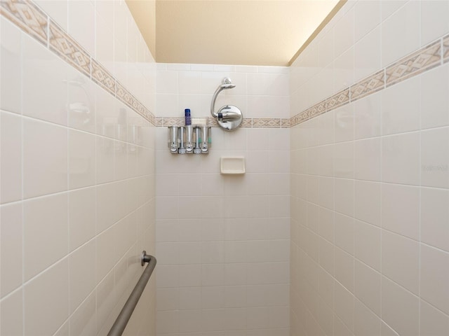 8078 Stirling Falls Cir, Sarasota, FL 34243 - full bathroom featuring tiled shower