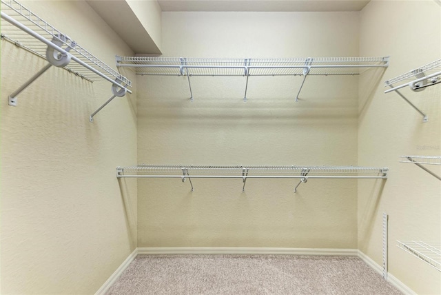 5359 90th Avenue Cir E, Parrish, FL 34219 - walk in closet with carpet floors