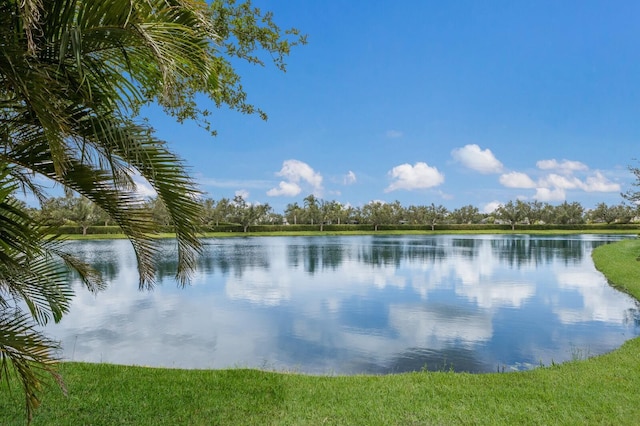12031 Longview Lake Cir, Lakewood Ranch, FL 34211 - water view