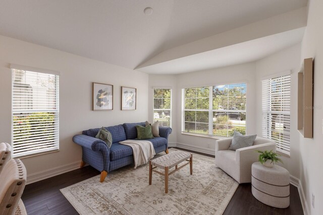 12031 Longview Lake Cir, Lakewood Ranch, FL 34211 - living room with wood finished floors, plenty of natural light, lofted ceiling, and baseboards