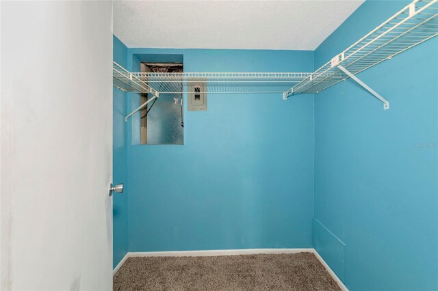 3072 Lake Bayshore Dr Unit 119, Bradenton, FL 34205 - photo 23