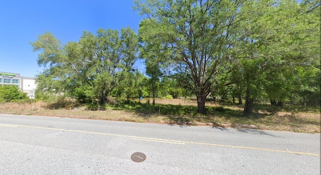 27561 Dayflower Blvd, Wesley Chapel, FL 33544 - photo 2