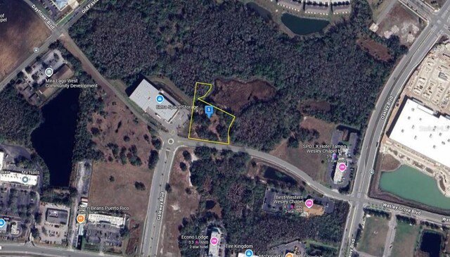 27561 Dayflower Blvd, Wesley Chapel, FL 33544 - photo 3