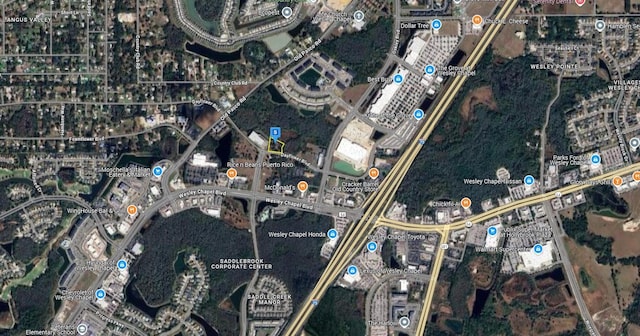 27561 Dayflower Blvd, Wesley Chapel, FL 33544 - photo 4