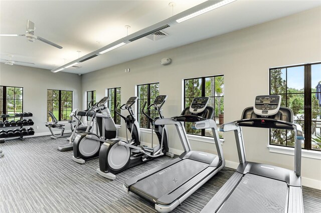 3504 Big Sky Way, Bradenton, FL 34211 - exercise room with baseboards, ceiling fan, and carpet floors