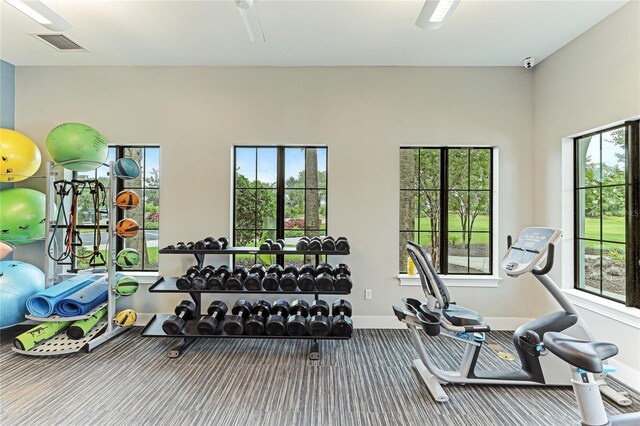 3504 Big Sky Way, Bradenton, FL 34211 - exercise room with carpet flooring and baseboards