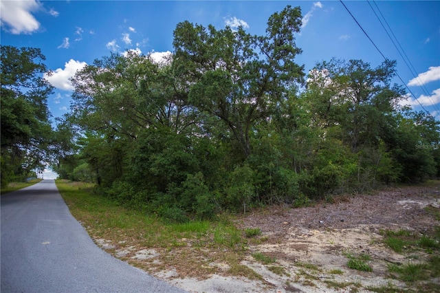 SW Winding Hills Rd, Dunnellon, FL 34431
