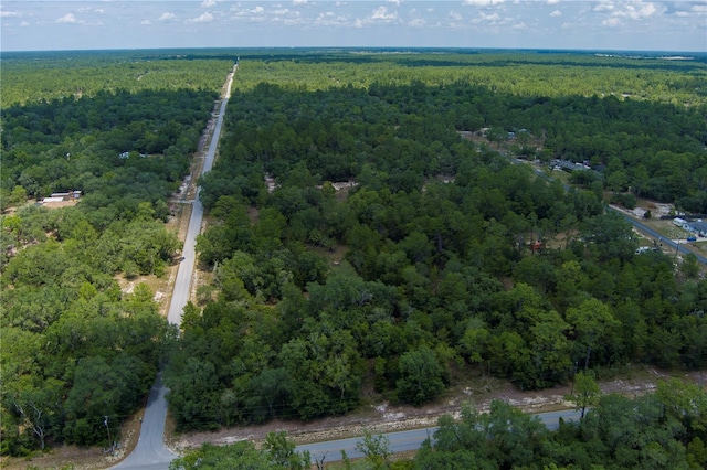 SW Winding Hills Rd, Dunnellon, FL 34431