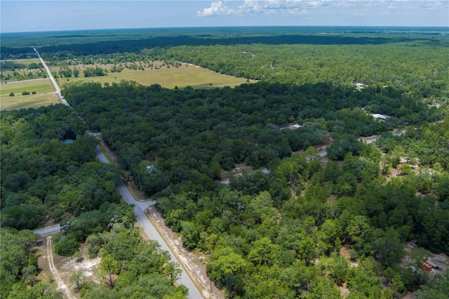 SW Winding Hills Rd, Dunnellon, FL 34431
