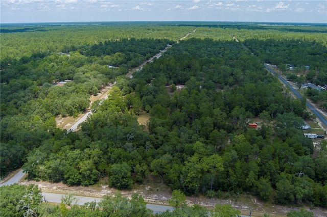 SW Winding Hills Rd, Dunnellon, FL 34431
