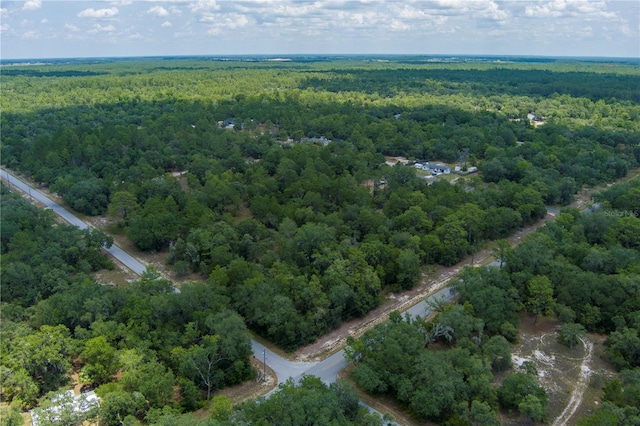 SW Winding Hills Rd, Dunnellon, FL 34431