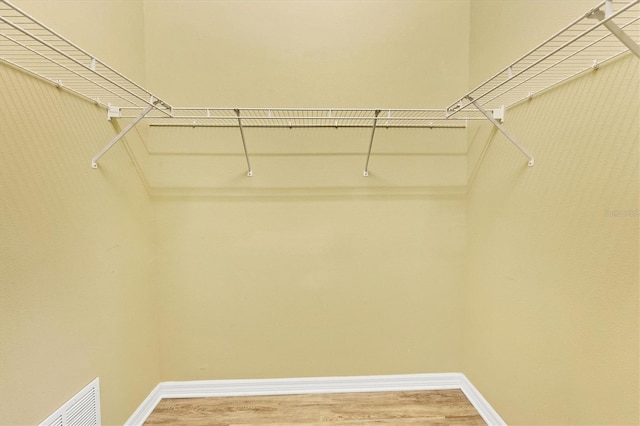 2085 Mattamy Ct, Venice, FL 34292 - walk in closet with light wood finished floors