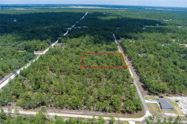 SW 87th St, Dunnellon, FL 34432
