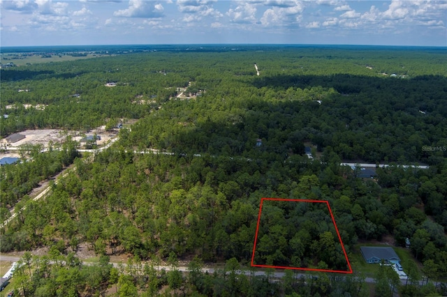 SW 87th St, Dunnellon, FL 34432