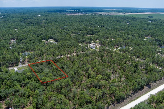 SW 87th St, Dunnellon, FL 34432