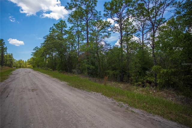 SW 87th St, Dunnellon, FL 34432