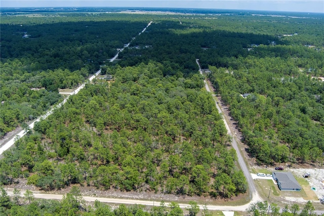 SW 87th St, Dunnellon, FL 34432