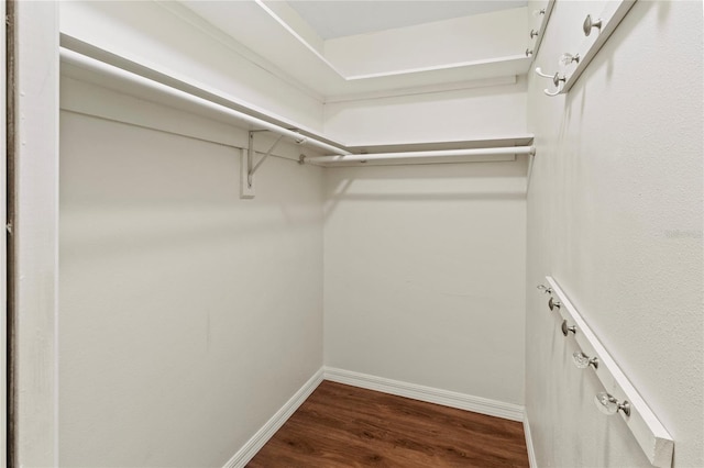 2515 Huntington Ave, Sarasota, FL 34232 - walk in closet with dark wood-style flooring