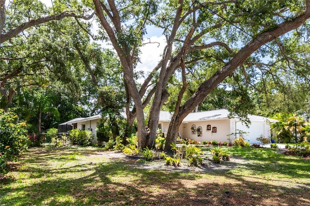 2515 Huntington Ave, Sarasota, FL 34232 - view of yard