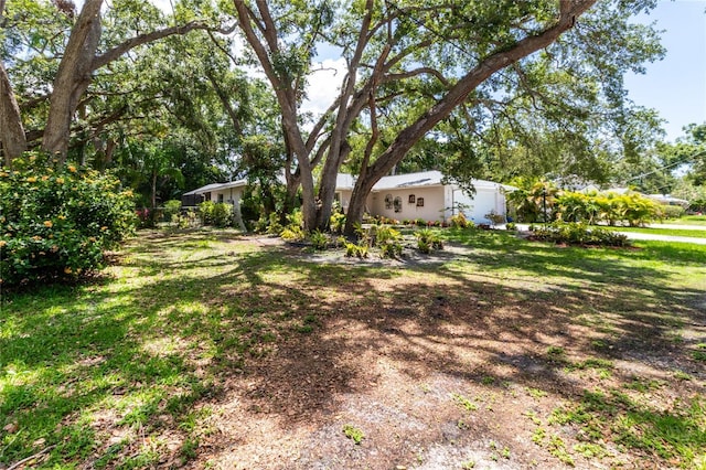 2515 Huntington Ave, Sarasota, FL 34232 - view of grassy yard