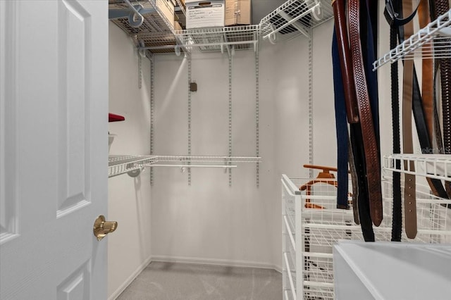 7513 Coventry Ct, Lakewood Ranch, FL 34202 - view of walk in closet