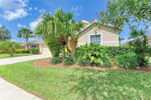 8772 Stone Harbour Loop, Bradenton, FL 34212 - view of property hidden behind natural elements with stucco siding, concrete driveway, a front yard, and an attached garage