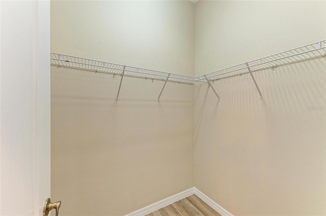8772 Stone Harbour Loop, Bradenton, FL 34212 - walk in closet featuring light wood-style flooring
