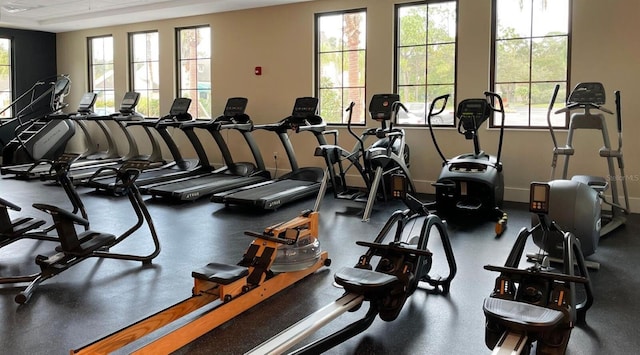 3317 Highlands Bridge Rd Unit 61, Sarasota, FL 34235 - exercise room with plenty of natural light